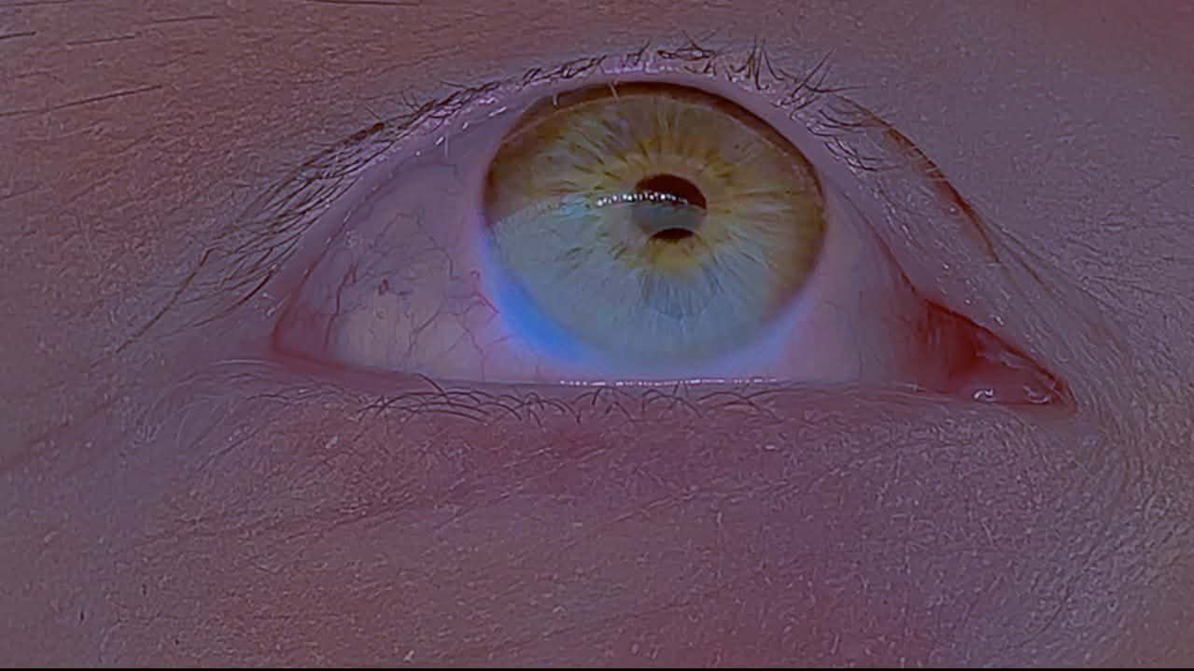 xeno/exo/astro -choreoreadings