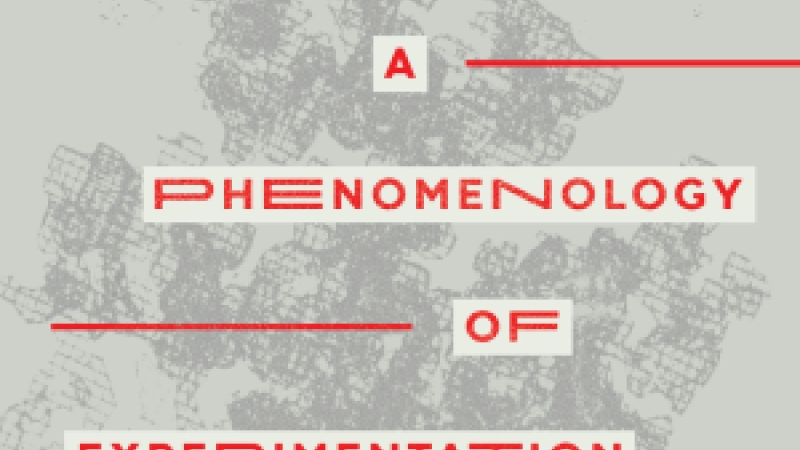 Review of Hans-Jörg Rheinberger "Split and Splice. A Phenomenology of Experimentation."