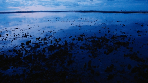 Bodies in Transition