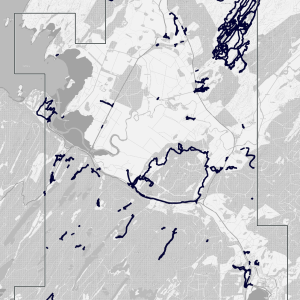 CRITICAL CONFABULATIONS – Corresponding Practices and Mappings