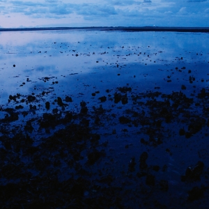 Bodies in Transition