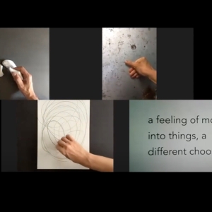 ECOLOGIES IN ACTION: an emergent framework for thinking aesthetic thinking through aesthetic research practices