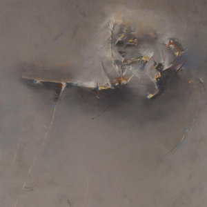 Animism: The Visual Complexity of the Physical World from Emergence to Decay